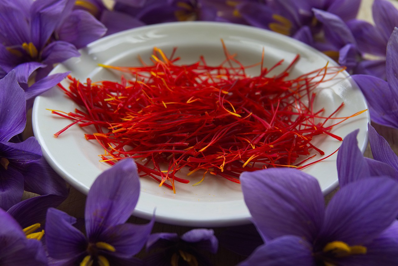 what-is-saffron-what-are-the-uses-of-saffron-how-to-use-saffron-picture-1-K9sBd7y2D.jpeg